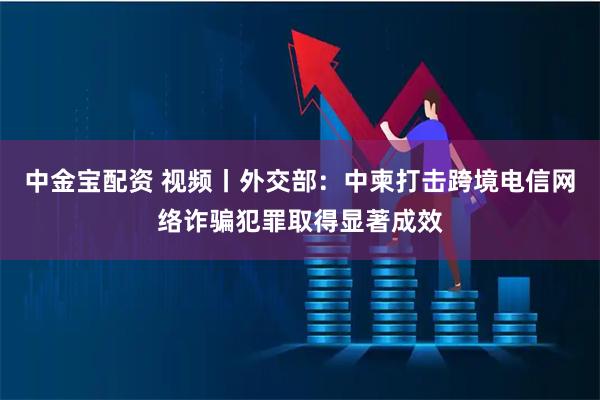 中金宝配资 视频丨外交部：中柬打击跨境电信网络诈骗犯罪取得显著成效